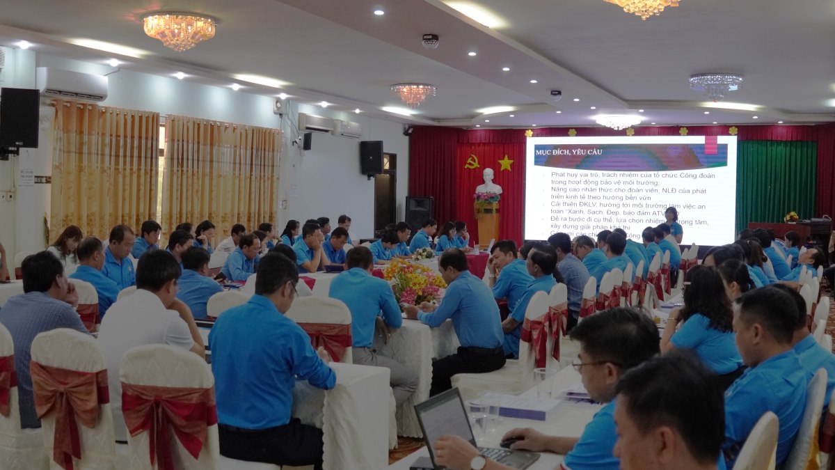 Quang cảnh hội thảo ngày 9.7 tổ chức tại Vũng Tàu. Ảnh: Thành An