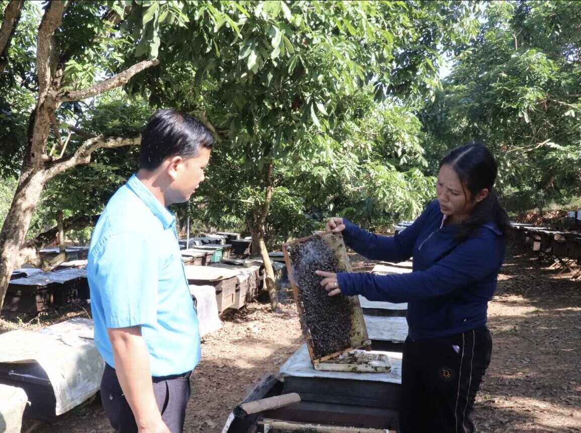 Le salaire des secretaires des comites de parti des chefs de village et des chefs de village frontaliers connaîtra de nombreux changements a partir du 1er juillet 2024. Photo : Huyen Trang