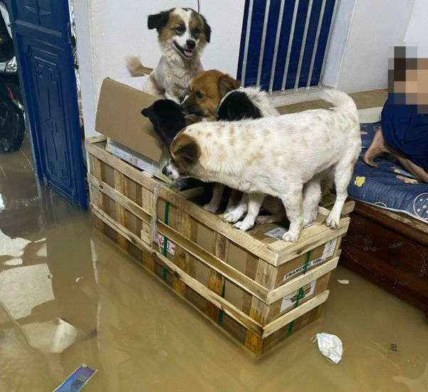 Mưa gây ngập ngày 23.6 tại Khu 5, phường Hải Yên, TP Móng Cái. Ảnh: Người dân cung cấp