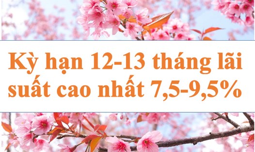 4 ngân hàng niêm yết lãi suất trên 7,5% kỳ hạn 12, 13 tháng.  Đồ họa: Hà Vy