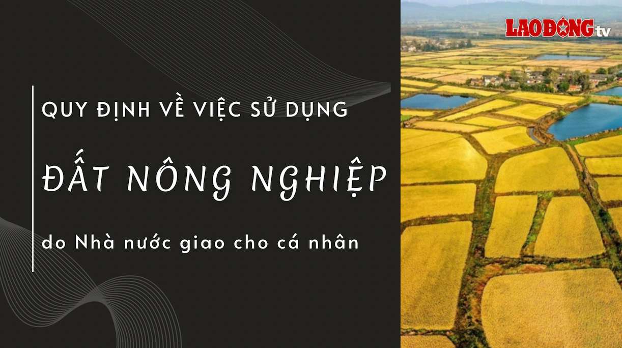 Thiết kế: Trần Hương