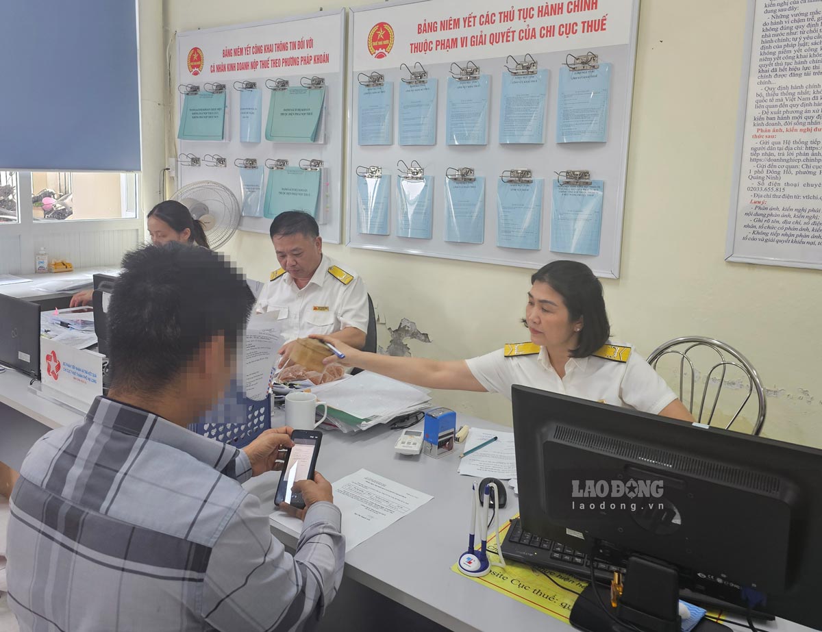 Có hơn 20 người nộp thuế đến Chi cục Thuế thành phố Hạ Long khai báo bị đối tượng lừa đảo cài bẫy. Ảnh: Đoàn Hưng