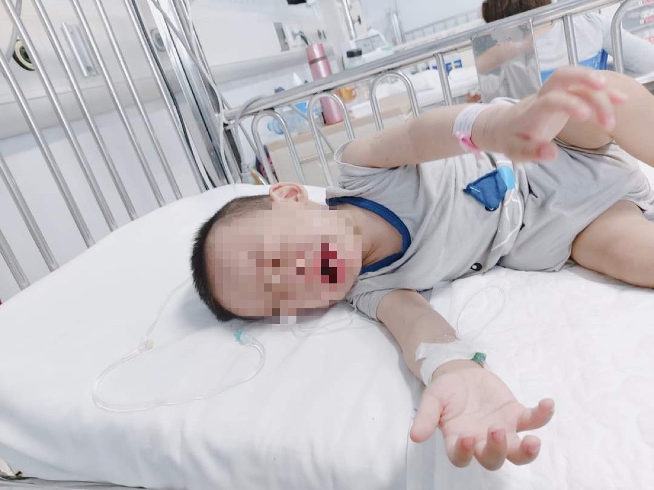 Cháu trai Bùi Gia Bảo. Ảnh: Văn Nhân