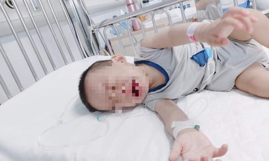 Cháu trai Bùi Gia Bảo. Ảnh: Văn Nhân