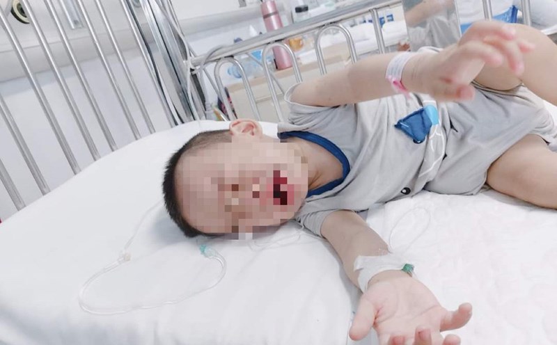 Cháu trai Bùi Gia Bảo. Ảnh: Văn Nhân