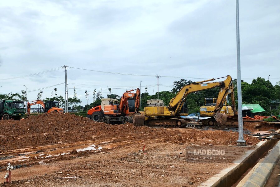 Công ty TNHH xây dựng Tự Lập là đơn vị được UBND tỉnh Phú Thọ giao đất để thực hiện dự án này (2 đợt: tháng 5.2022 và tháng 4.2024). Hình thức là Nhà nước giao đất có thu tiền sử dụng đất; thời hạn sử dụng đến ngày 6.3.2070, người mua nhà ở gắn liền với quyền sử dụng đất ở được sử dụng với thời hạn lâu dài.