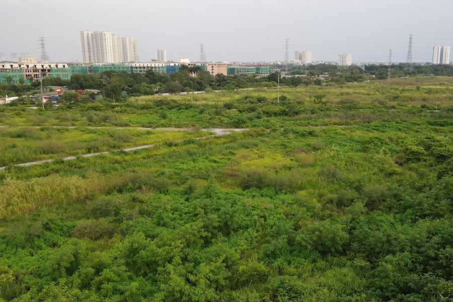 Quy định mới về miễn giảm tiền sử dụng đất từ 1.8.2024. Ảnh: Phan Anh