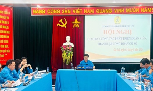 Quang cảnh hội nghị do Công đoàn tỉnh Gia Lai tổ chức. Ảnh: Phan Tuấn