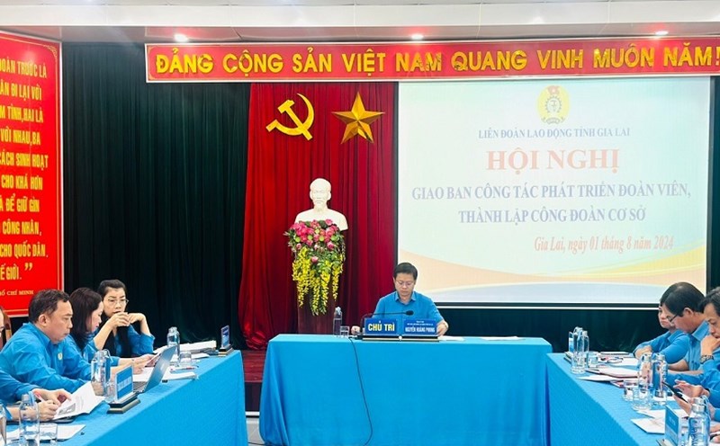Quang cảnh hội nghị do Công đoàn tỉnh Gia Lai tổ chức. Ảnh: Phan Tuấn
