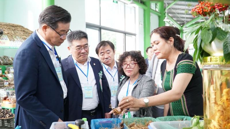 Korean tourists visit the Ngoc Linh ginseng market at the festival. Hoang Bin