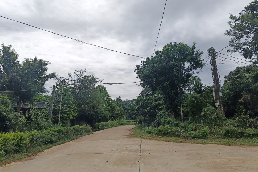 Initially, the project is expected to attract about 150 young households to live. Each union member and youth union member's family, when settling in Song Chang Youth Union Village, will be granted 400 square meters of residential land, 3.2 hectares of farming land and many other support policies. Photo: Quach Du