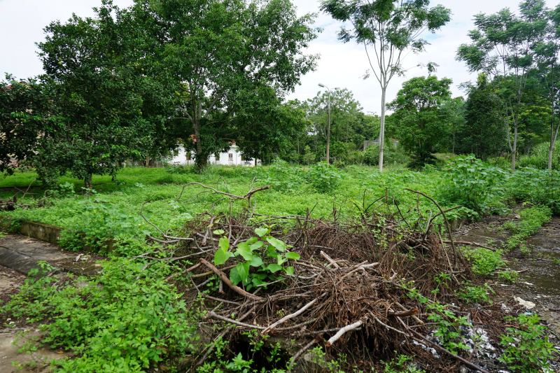 However, after a few years, production and business were not effective and land use rights certificates were not granted, so many people became discouraged, rented them out, and moved to another place to work. Photo: Quach Du