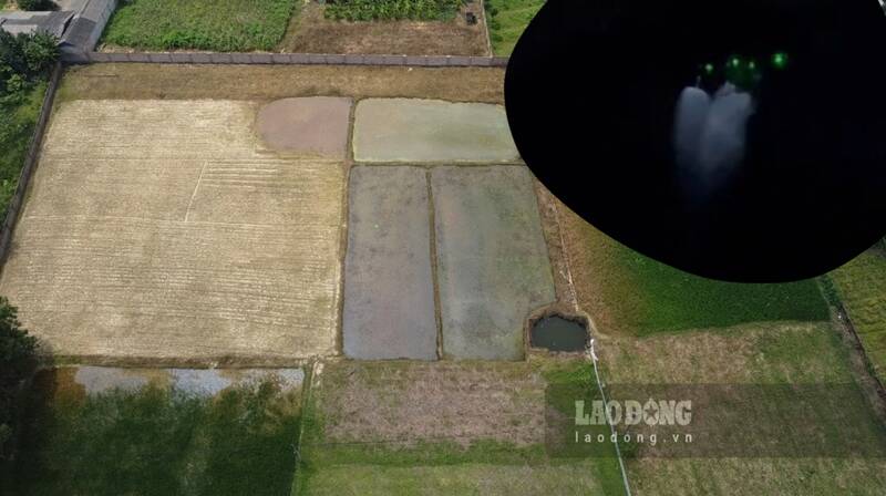 Máy bay không người lái tàn phá 4.000m2 ruộng nhà dân. Ảnh: Lam Thanh