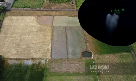 Máy bay không người lái tàn phá 4.000m2 ruộng nhà dân. Ảnh: Lam Thanh