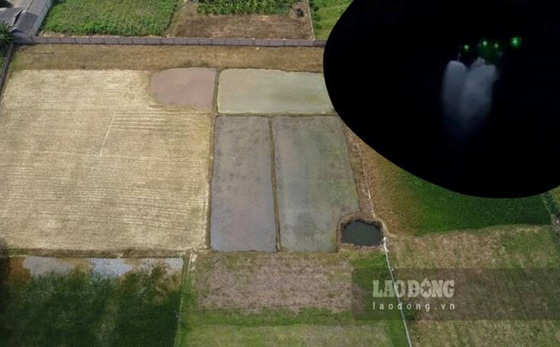 Máy bay không người lái tàn phá 4.000m2 ruộng nhà dân. Ảnh: Lam Thanh