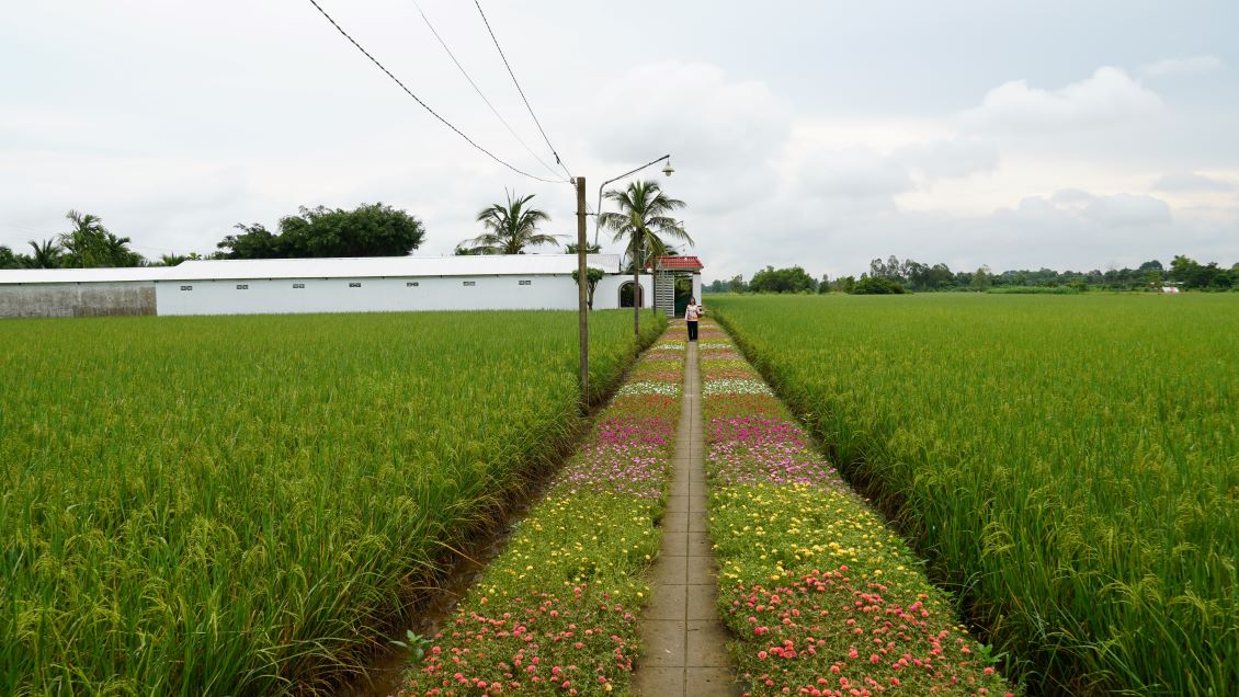 Mỗi ngày đều có du khách đến để tham quan chụp ảnh. Ảnh: Phương Anh