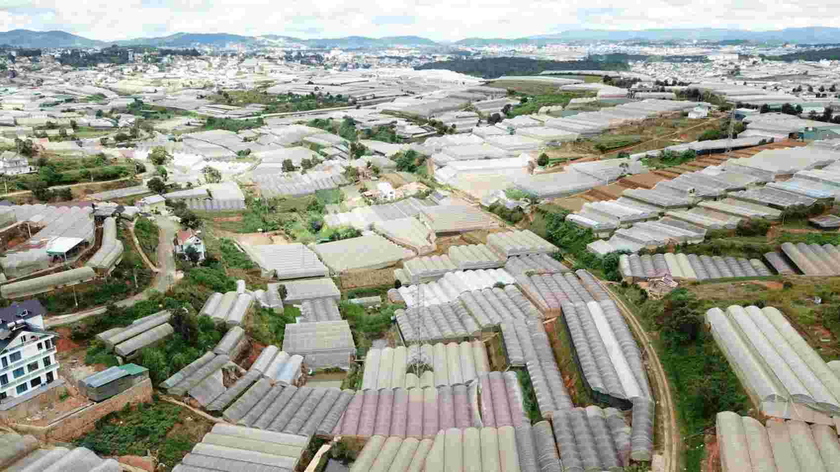 Nhiều nhà kính được xây dựng để phát triển nông nghiệp ở Lâm Đồng. Ảnh: Vũ Linh