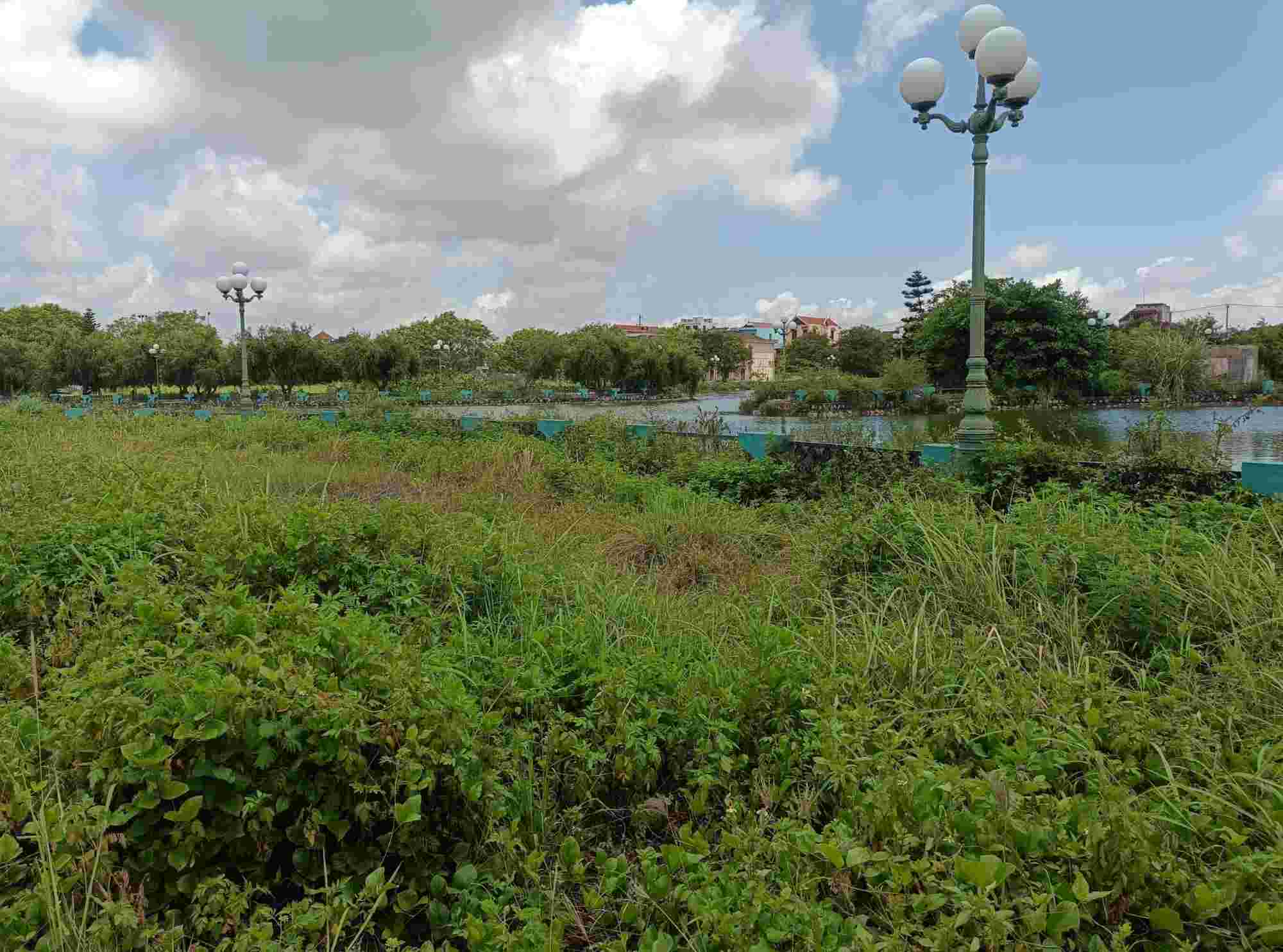 Công viên Đầm Vuông ở Đồ Sơn, Hải Phòng ngập cỏ dại. Ảnh: Mai Dung