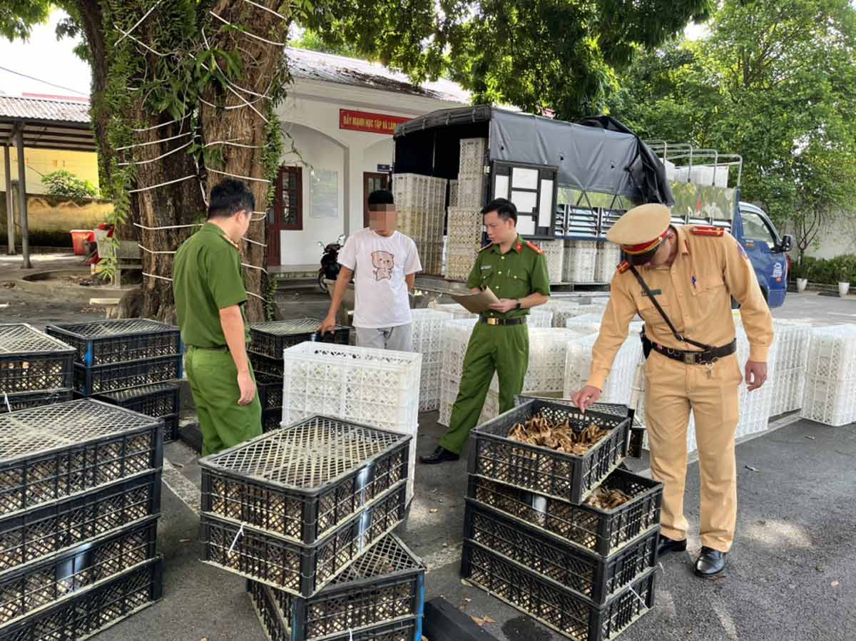 Lực lượng công an tạm giữ số gà giống và trứng gà vịt không rõ nguồn gốc. Ảnh: Công an Vân Đồn