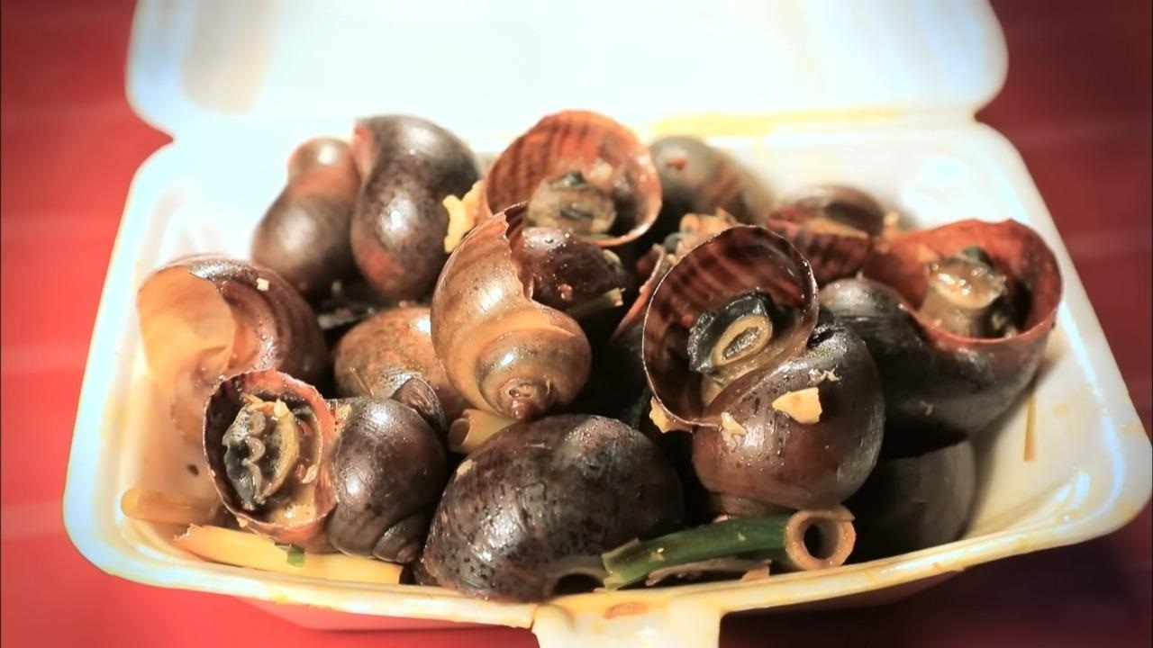 Stir-fried snails with sauce made the tourists happy. Image: Screen capture