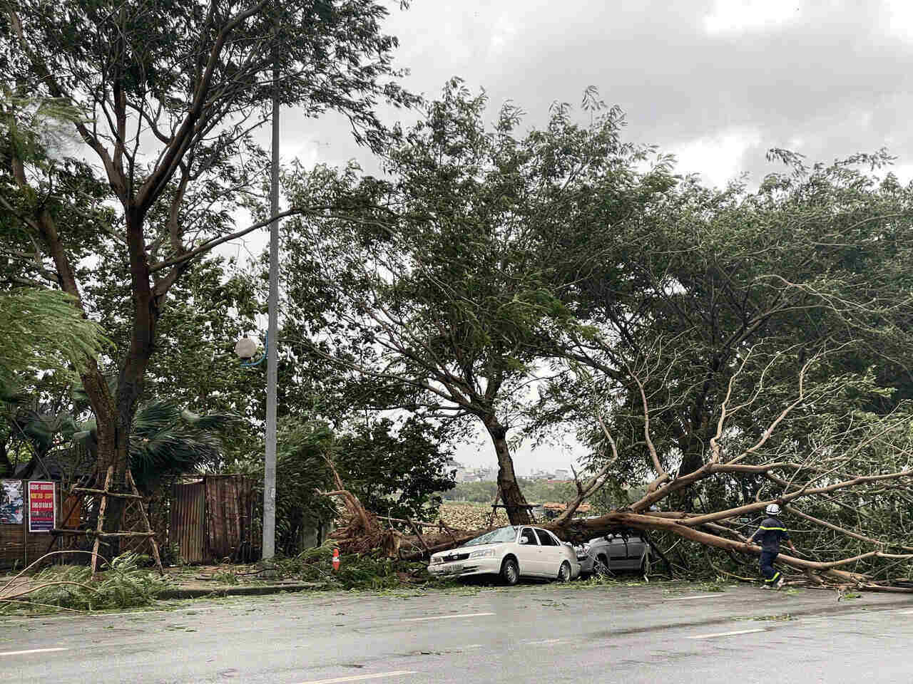 Ôtô bị cây đè bẹp bởi hàng loạt cây xanh ở Việt Hưng (quận Long Biên). Ảnh: Hoài Anh