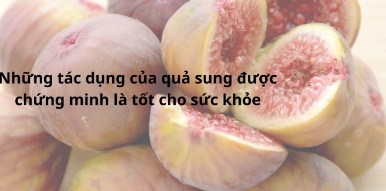 Quả sung và những lợi ích giúp bảo vệ sức khỏe. Đồ hoạ: Hương Giang 