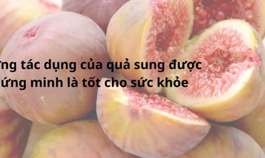 Quả sung và những lợi ích giúp bảo vệ sức khỏe. Đồ hoạ: Hương Giang