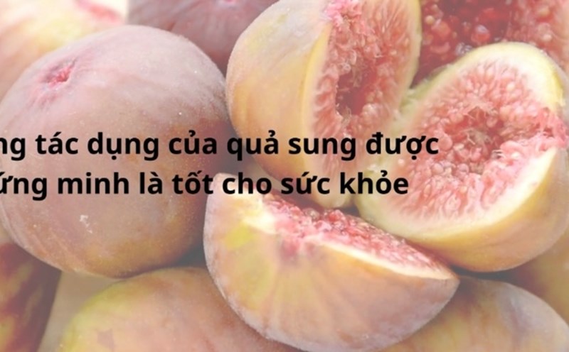 Quả sung và những lợi ích giúp bảo vệ sức khỏe. Đồ hoạ: Hương Giang