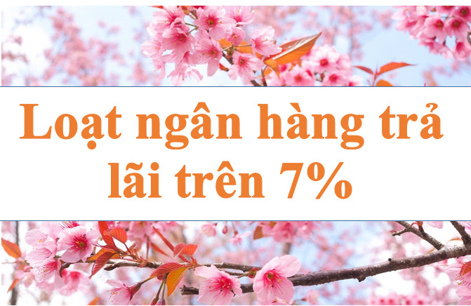 Loạt ngân hàng có lãi suất trên 7%. Ảnh minh họa: Hà Vy