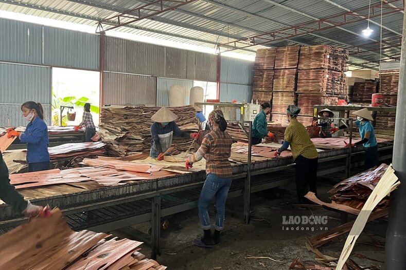 Sắp có cụm công nghiệp ở xã Ấm Hạ và xã Phương Viên - 2 xã phát triển mạnh ngành chế biến gỗ. Ảnh: Tô Công.