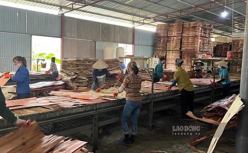 Sắp có cụm công nghiệp ở xã Ấm Hạ và xã Phương Viên - 2 xã phát triển mạnh ngành chế biến gỗ. Ảnh: Tô Công.