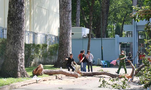 Hiện trường vụ tai nạn ở Công viên Tao Đàn Ảnh: Minh Quân