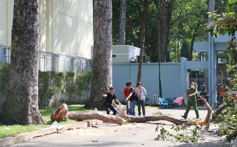 Hiện trường vụ tai nạn ở Công viên Tao Đàn Ảnh: Minh Quân