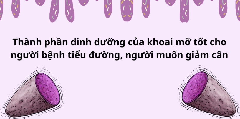 Khoai mỡ - món ăn dân dã phù hợp với người bệnh tiểu đường và giảm cân. Đồ hoạ: Hương Giang 