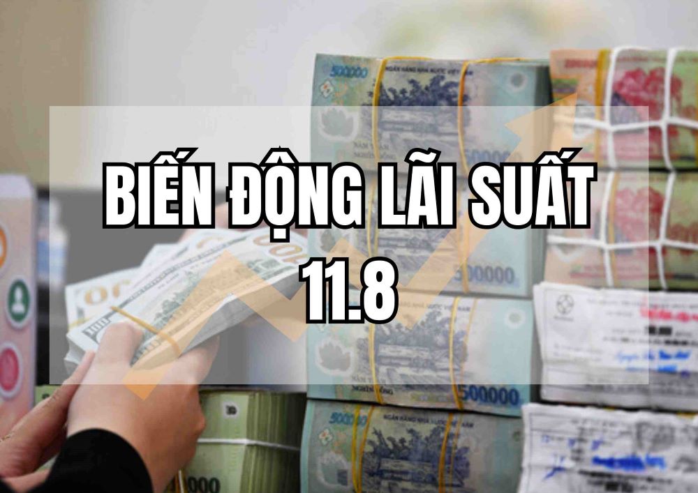 Biến động lãi suất 11.8: Bất ngờ lãi suất cao ngất ngưởng. Thiết kế ảnh: Huyền Mai.