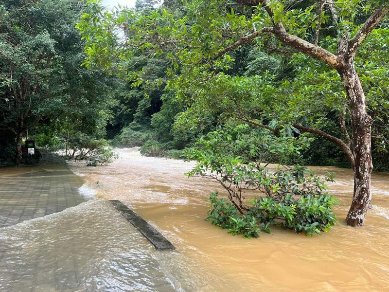 The Lê-Nin Stream (Trường Hà Commune, Hà Quảng District) was flooded and had murky water due to heavy rain.