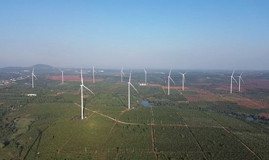Cánh đồng điện gió tại huyện Chư Prông. Ảnh: Thanh Tuấn