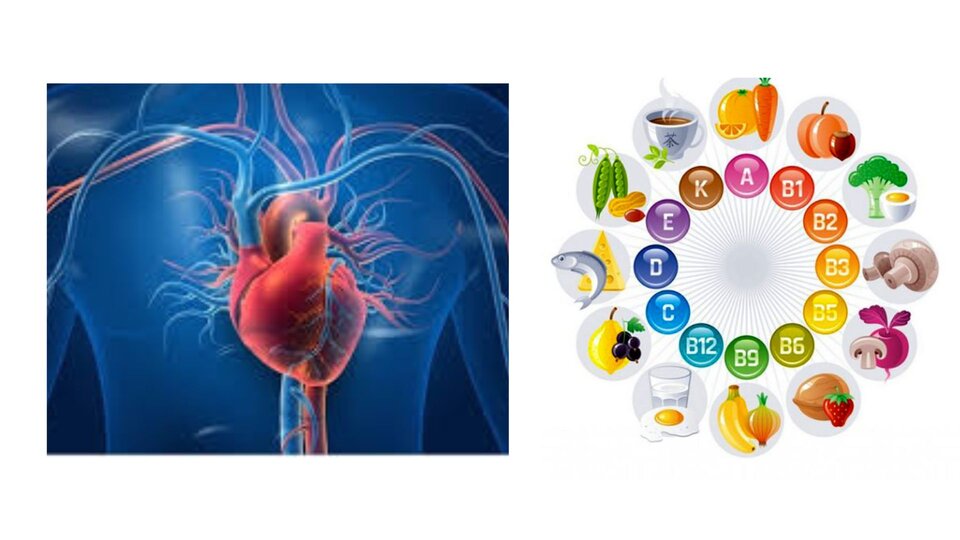 Vi chất dinh dưỡng có lợi cho sức khỏe tim mạch. Đồ họa: Cao Thơm 