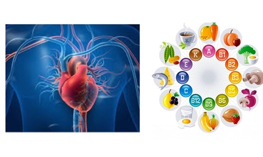 Vi chất dinh dưỡng có lợi cho sức khỏe tim mạch. Đồ họa: Cao Thơm