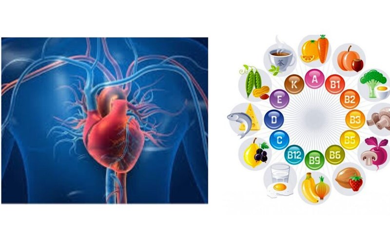 Vi chất dinh dưỡng có lợi cho sức khỏe tim mạch. Đồ họa: Cao Thơm