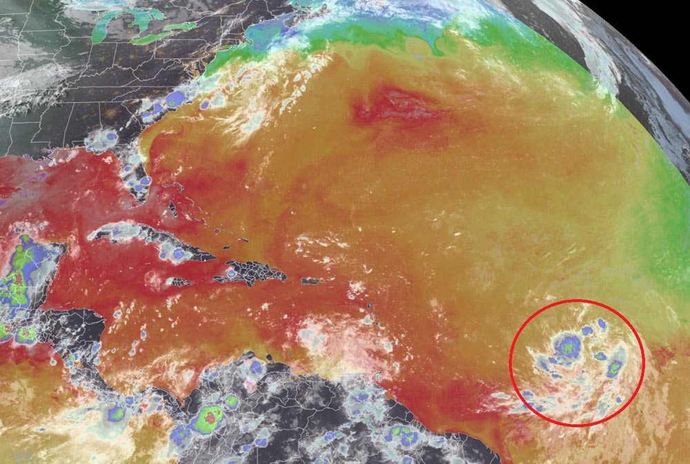 The latest satellite image of the Atlantic, with water temperature depicted in color. The system expected to become Ernesto is circled in red. Image: NOAA