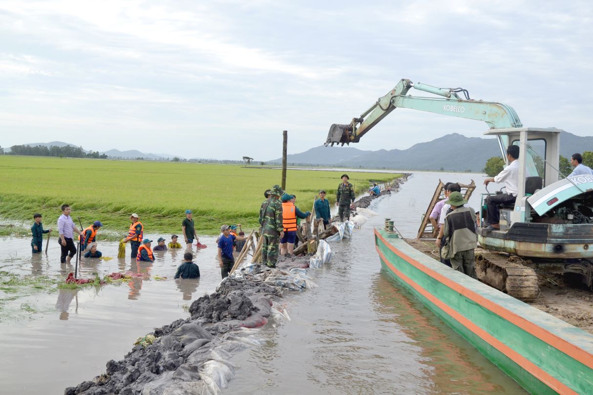 Lực lượng quân dân chung tay gia cố đê bao, bờ bao bảo vệ lúa trước biển nước lũ từ thượng nguồn đổ về. Ảnh: Lục Tùng