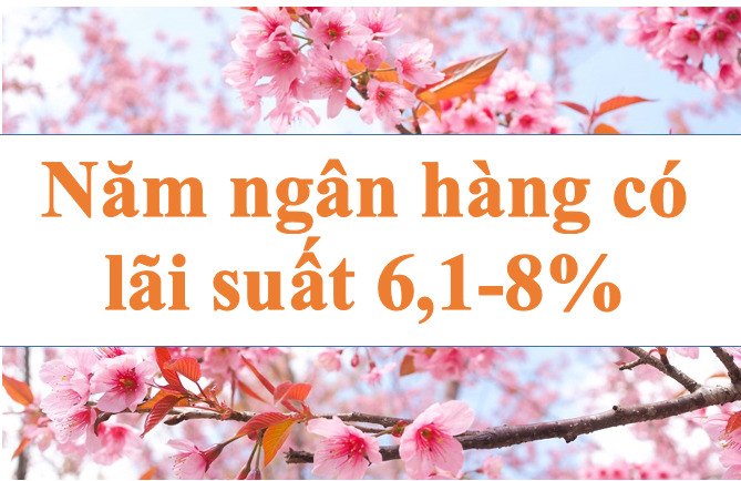 Năm ngân hàng có lãi suất 6,1-8,1%. Ảnh minh họa: Hà Vy