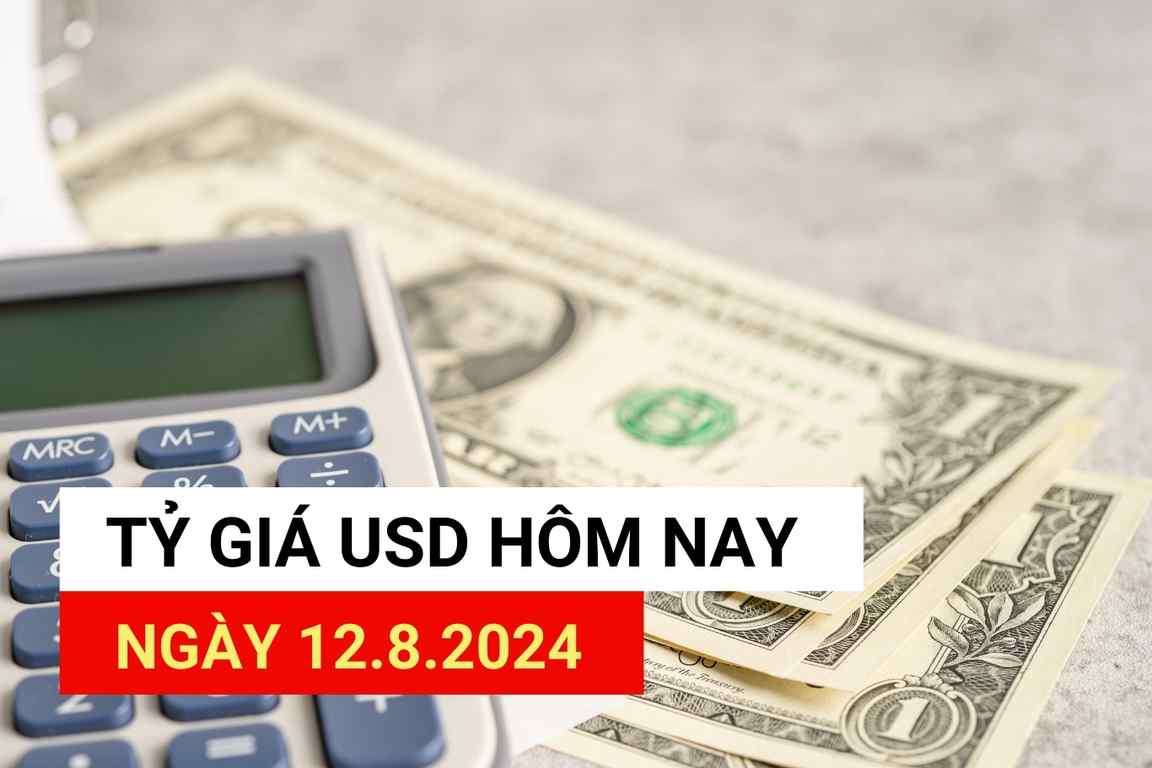 Tỷ giá USD hôm nay 12.8.2024.
