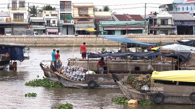 Thương hồ chợ nổi Cái Răng (TP Cần Thơ) cố gắng bám trụ từng ngày. Ảnh: Bích Ngọc