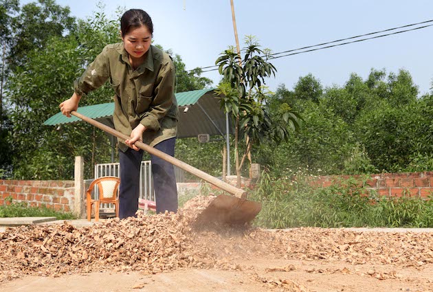 Ms. Sen's herbal pork has had successes. Photo: Cong Sang