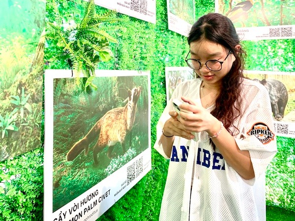 Young people answered sets of questions about endangered, rare, and often trafficked wild animals. Photo: T. Le