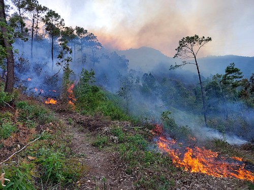 Hundreds of people are participating in fighting the fire. Photo: P. Ha