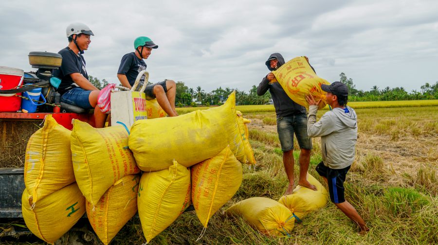 Xuất khẩu gạo của Việt Nam đang đứng trước nhiều cơ hội gia tăng về khối lượng, giá trị xuất khẩu. Ảnh: Phương Anh
