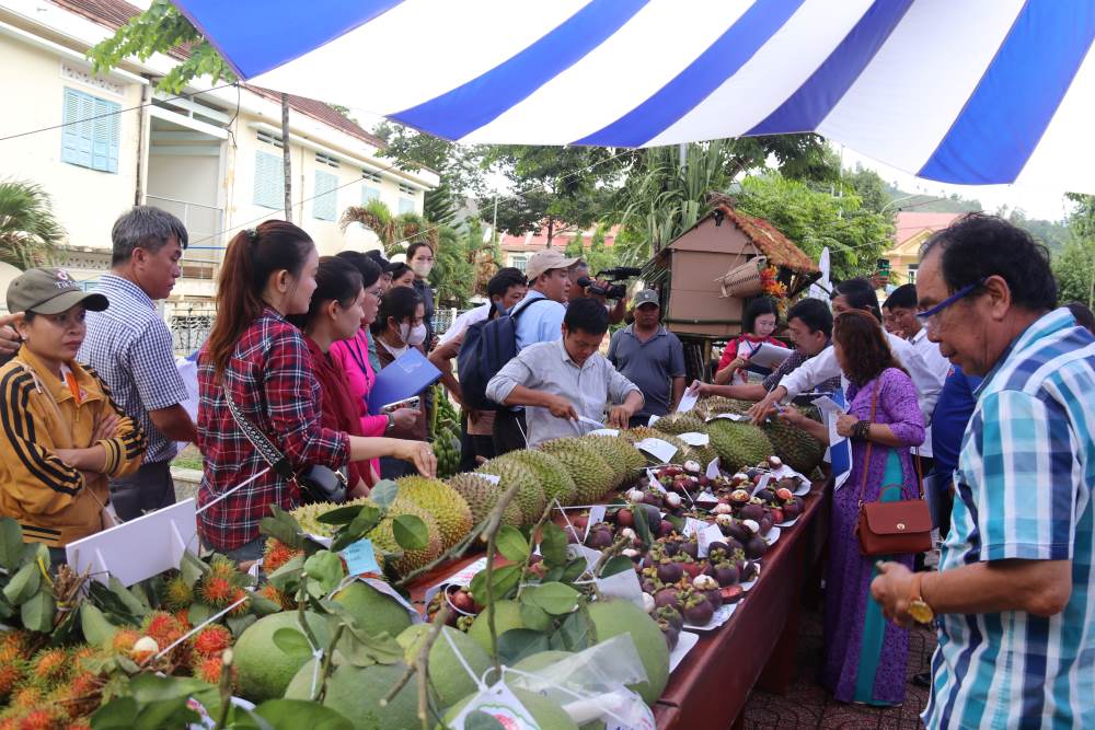 Khánh Hòa phát triển du lịch xanh từ sầu riêng, trầm hương